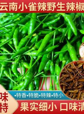 【顺丰包邮】云南特产小雀辣泡椒野山椒特辣小米辣做椒凤爪下饭菜
