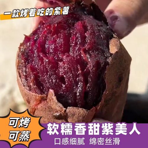 云南高山紫薯黑美人番薯地瓜蜜薯糖心山芋烟薯香薯蔬菜农家自种