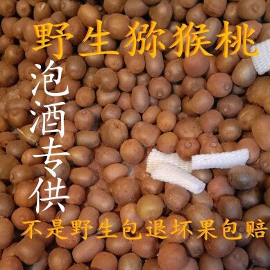 秦岭山区纯野生猕猴桃小新鲜现摘奇异果/猕猴桃