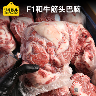 筋头巴脑新鲜牛肉筋国产和牛半筋半肉牛排雪花边角料 澳洲老爸
