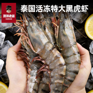 泰国黑虎虾特大虾鲜活速冻海鲜水产对虾竹斑九节虾 澳洲老爸