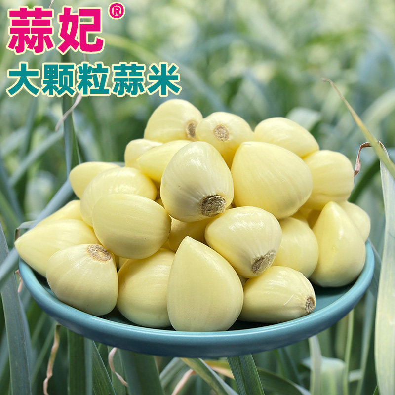 蒜妃大颗粒苍山蒜米5斤山东兰陵大蒜剥去皮蒜西餐厅饭店烧烤家用
