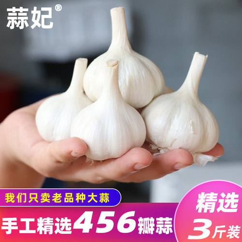 苍山六瓣大蒜农家自种