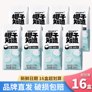 椰子知道0糖鲜椰汁椰奶官方正品 9瓶 店生椰拿铁植物蛋白饮料200ml