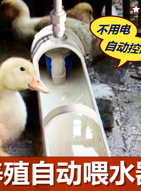 新款鸡鸭鹅自动喂水器饮水器家禽鸭子喝水饮水槽牛羊设备养殖用品