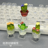 DIY定制创意透明仿真仙人掌键帽树脂透光机械键盘电脑装 饰键帽