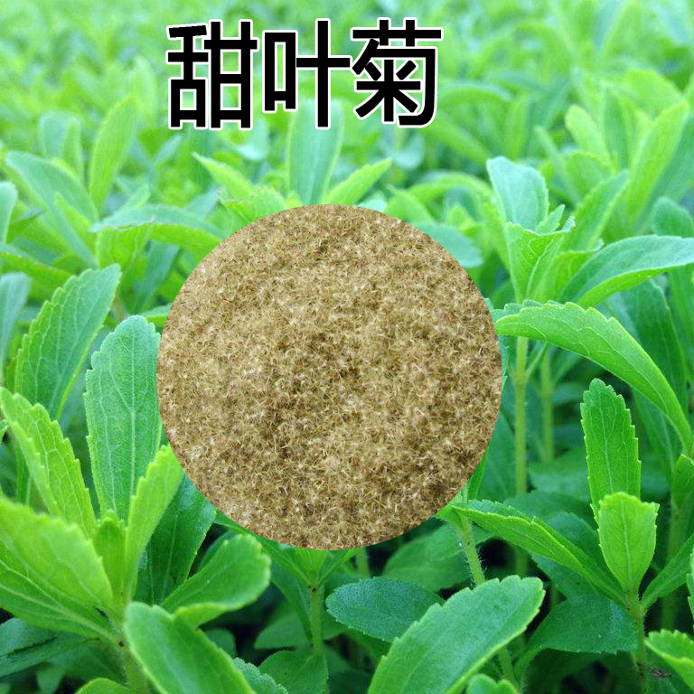 甜叶菊种子甜菊香草 甜菊叶花草茶 阳台花卉四季播种蔬菜种籽食用