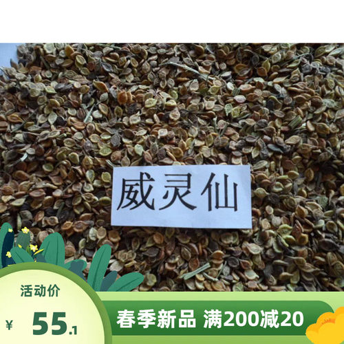野生威灵仙种子 铁脚威灵仙 铁角灵仙 铁耙头 铁脚铁线莲种子