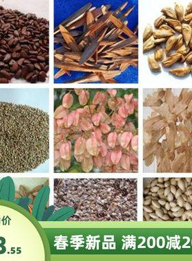 杨梅马褂木种子 鸡爪槭  鹅掌楸 锦灯笼 知母 珙桐 木芙蓉 树种子