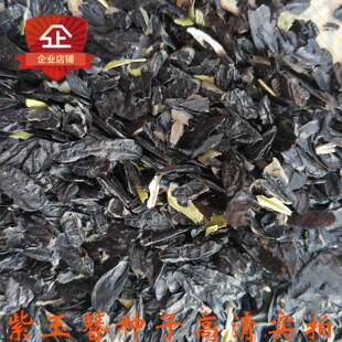 新采摘紫玉簪种子 紫萼 山玉簪 紫鹤 鸡骨丹 玉簪花种子 花卉种子