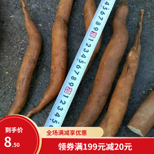 正宗云南大天冬种子种苗天门冬种子天冬种子种籽天冬种籽高产包邮