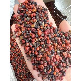 茜草种子子四季播种用种籽籽草种子