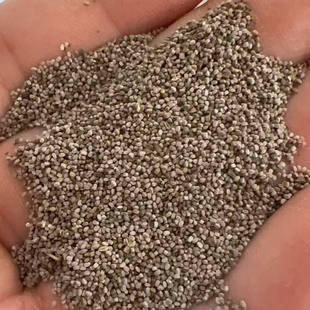 血见愁种子斑地锦草斑地锦血筋草草血竭铺地锦蜈蚣草莲子草籽3