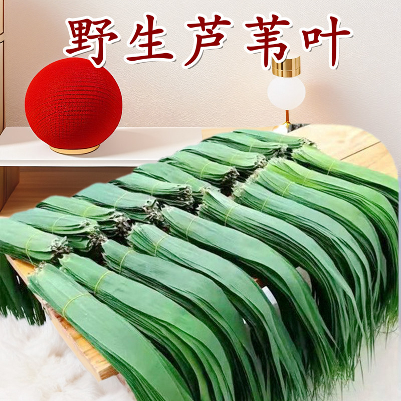 野生芦苇叶大号粽叶新鲜粽子叶