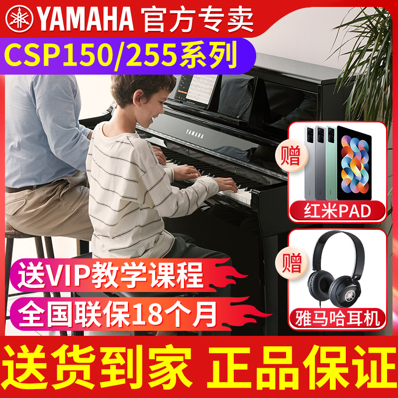 雅马哈初学者专业考级88键重锤