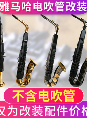 雅马哈电子吹管YDS120/128C/150电萨克斯初学高音/次中音改装服务