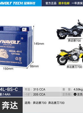 奔达撩LFC700 LFS唐刀700原厂高性能12V14A电池猛狮摩托车电瓶