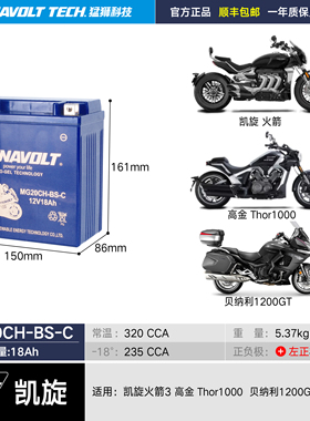 凯旋火箭3高金Thor1000贝纳利1200GT 宝马1600GT 1100R 12V蓄电池