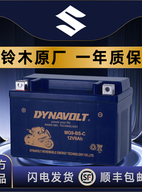 适用于铃木骊驰GW250F/S/A DL/GSX250/R DR300 TR300YTX9-BS电池