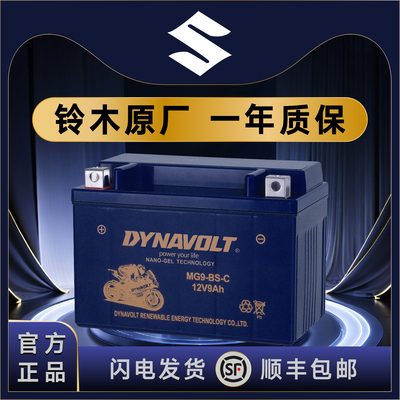 适用于铃木骊驰GW250F/S/A DL/GSX250/R DR300 TR300YTX9-BS电池