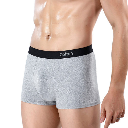 Man Underwear Sexy Boxers Cotton For Men Panties Boxershorts