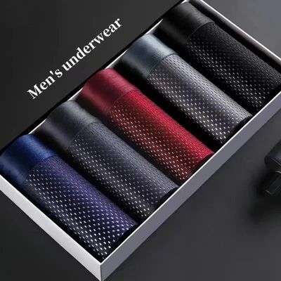 5pcs/Men's Underwear Summer Ice Silk Underwear Plus Size Pan