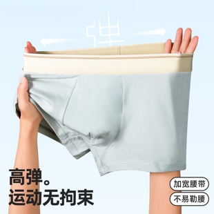 3pcs Men Panties Cotton BoxerShorts Man Underwear Mens Boxer