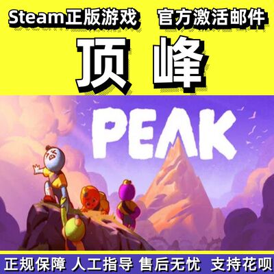 steam顶峰PEAK全新成品号