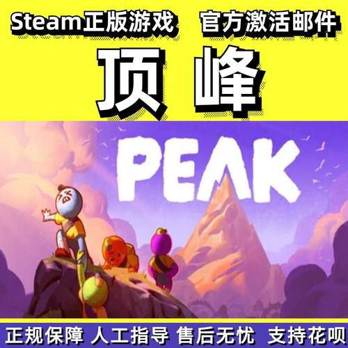 steam顶峰PEAK全新成品号