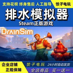 steam排水模拟器DrainSim休闲模拟国区礼物成品号PC中文正版