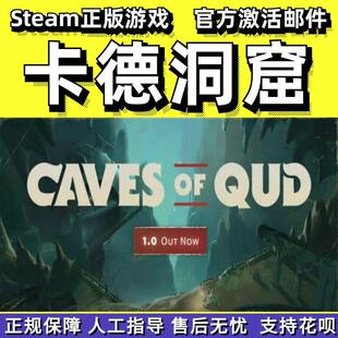 steam卡德洞窟Caves of Qud冒险肉鸽国区礼物PC英文正版