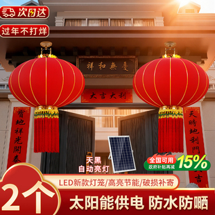 灯笼新款2026年大门口一对装大红灯笼马年新年太阳能户外庭院挂饰