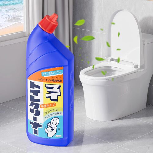 日本强力除垢除臭马桶清洁剂