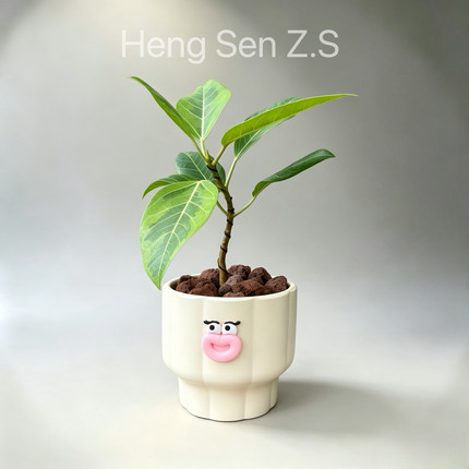 桌面绿植小盆栽室内植物工位绿植办公室创意花卉黄金榕好养高档