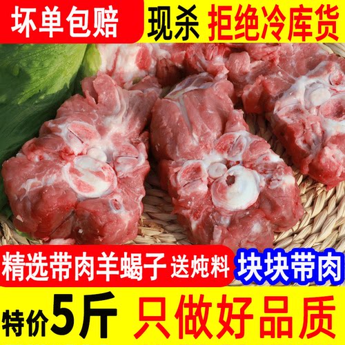 正宗多肉羊蝎子5斤顺丰包邮