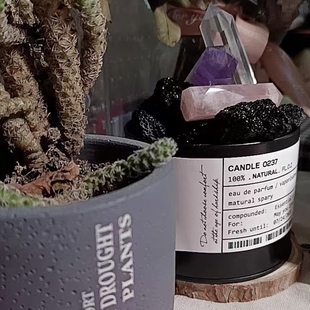 香薰办公室家用持久舒缓白茶蓝风铃无火木质花园精油扩香石摆件香