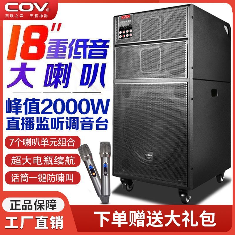 COV户外广场舞台婚庆演出专业音响18寸大功重低音高端线阵音箱