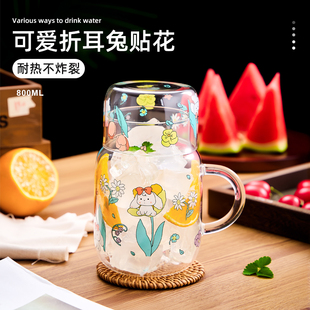 年货卡通高硼硅玻璃杯女生水杯高颜值家用冷水壶办公室带盖杯子