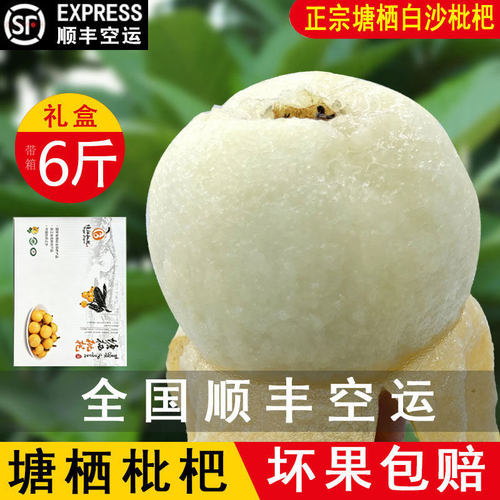【官方直售】塘栖白沙枇杷礼盒装