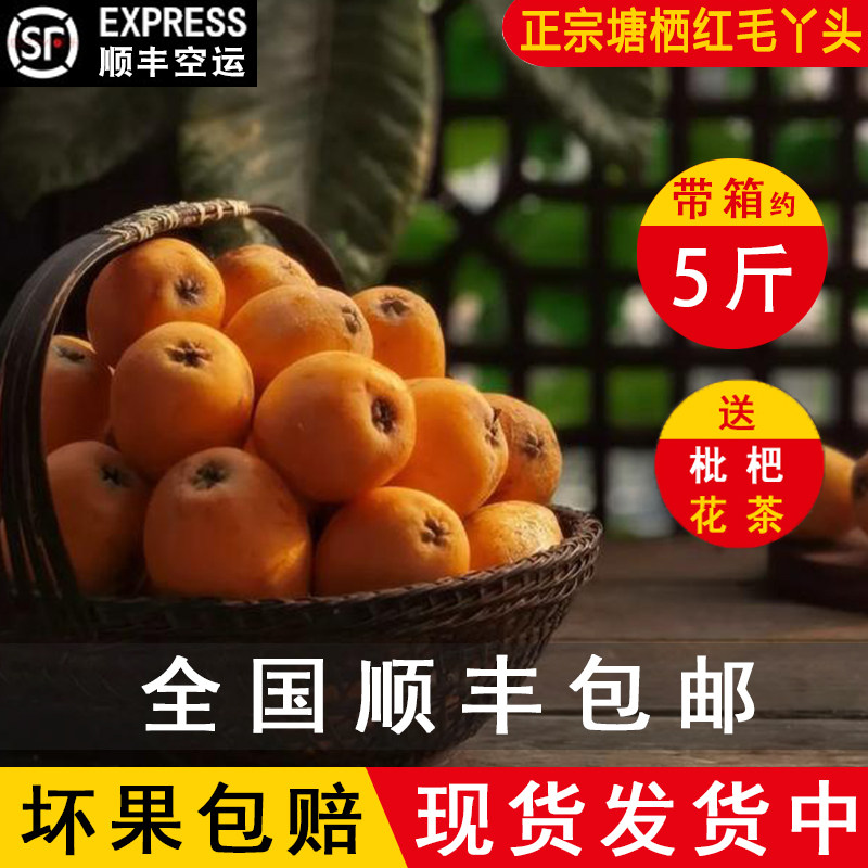 【精品】正宗塘栖枇杷红枇杷大红袍红毛丫头新鲜水果塘西枇杷果