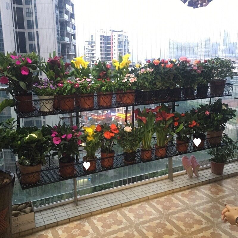 阳台花架铁艺双层栏杆护栏悬挂飘窗挂式双层壁挂盆栽多肉首单立减图片
