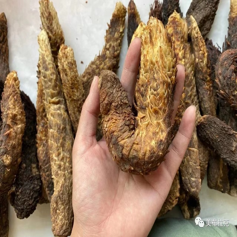 新疆沙漠肉苁蓉泡酒泡茶梭梭大芸软和田肉苁蓉500g于田直发包邮