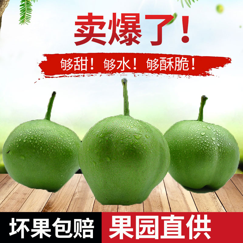 陕西2018年酥梨子水果包邮新鲜5斤现摘新鲜水果非啤酒鸭梨红梨