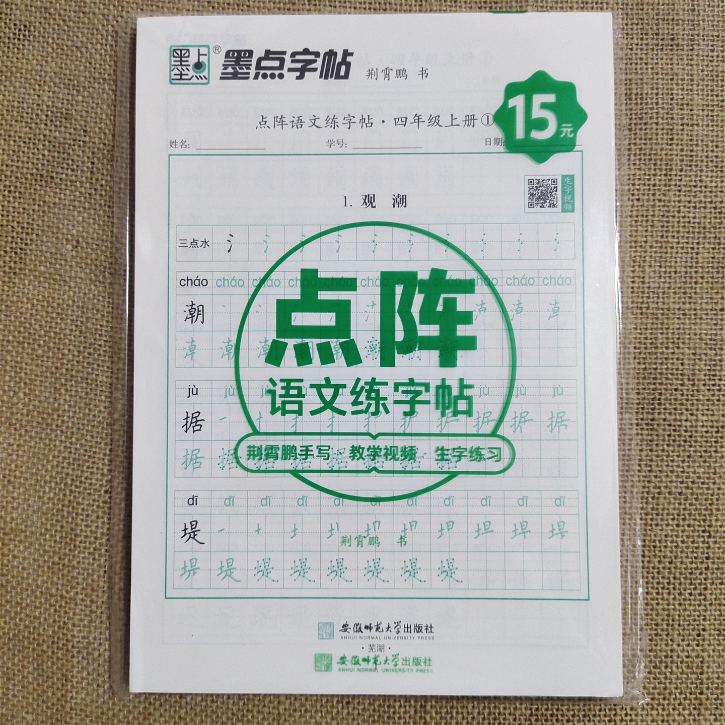 2025墨点字帖点阵语文练字帖四年级上册人教版荆霄鹏楷书手写体