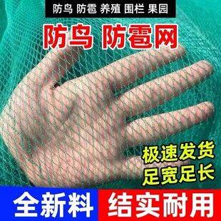 收菜籽神器网布专用打油菜籽过滤菜籽筛网布收菜籽工具方便脱壳网