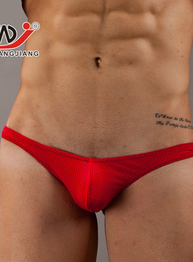 男士内裤 时尚出口 网将WJ性感男式内裤网孔丁字裤T 1001DK