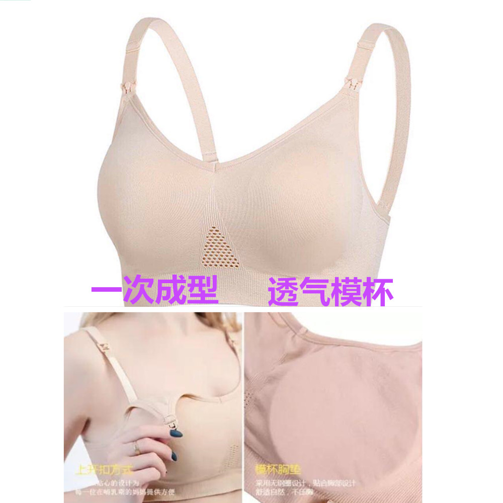 犬家一次成型哺乳文胸弹力胸罩