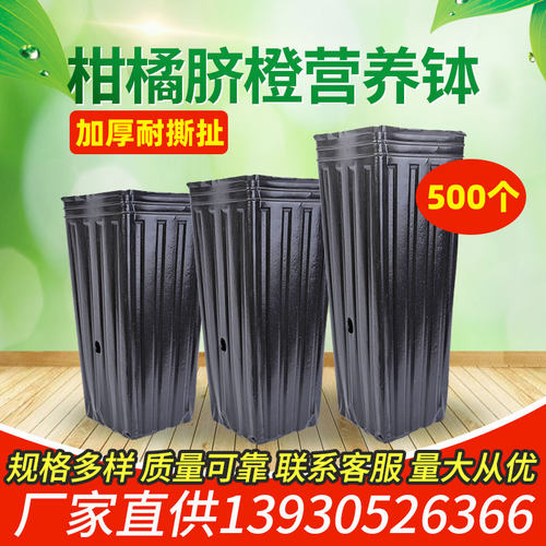 柑橘细长方口加高一次性营养钵