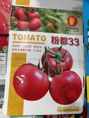 粉都53西红柿种子棚室露地抗病