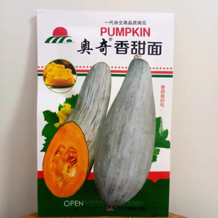 丑瓜种子 楼兰女 贵族南瓜 甜面北方南方露地棚室谢花面窝瓜板栗